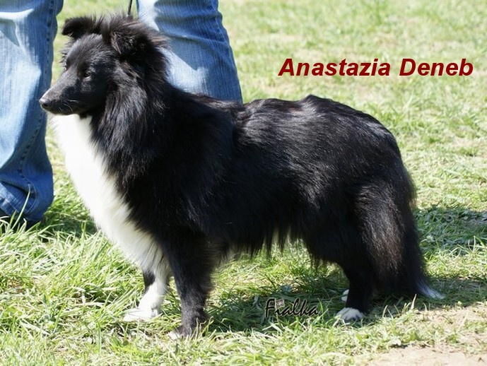 anastazia-20deneb2